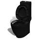 Close Coupled Bathroom Toilet Ceramic Soft Close Seat Black Dual Flush Wc