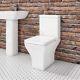 Close Coupled Rimless Toilet With Soft Close Seat Austin