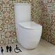 Comfort Height Rimless Doc M Toilet Pan Wc Disabled Close Coupled Back To Wall