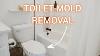 How To Remove Mold From The Toilet In Less Than 10 Minutes Toiletcleaning Moldremoval