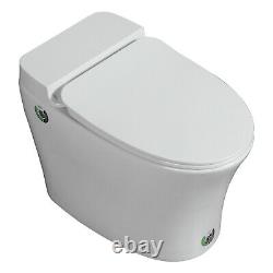 Modern Bathroom Toilet Close Coupled WC Soft Close Seat Electronic Bidet Toilet